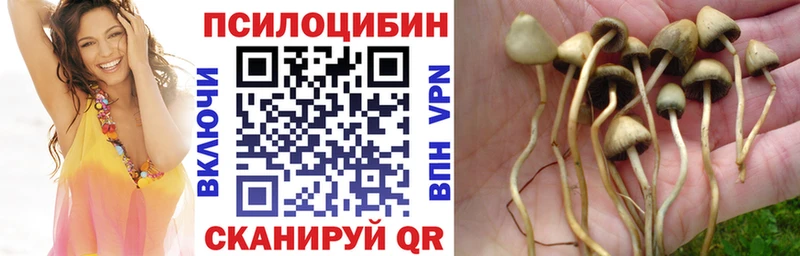 купить наркотики сайты  Усть-Кут  Псилоцибиновые грибы Magic Shrooms 
